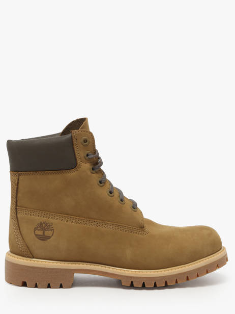 Enkellaarzen Uit Leder Timberland Groen men 2P6WA5D1